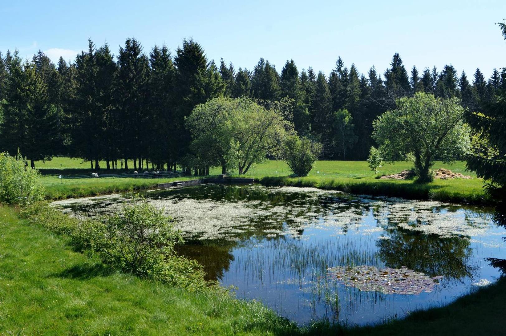 Kammbaude Neuhermsdorf ภายนอก รูปภาพ